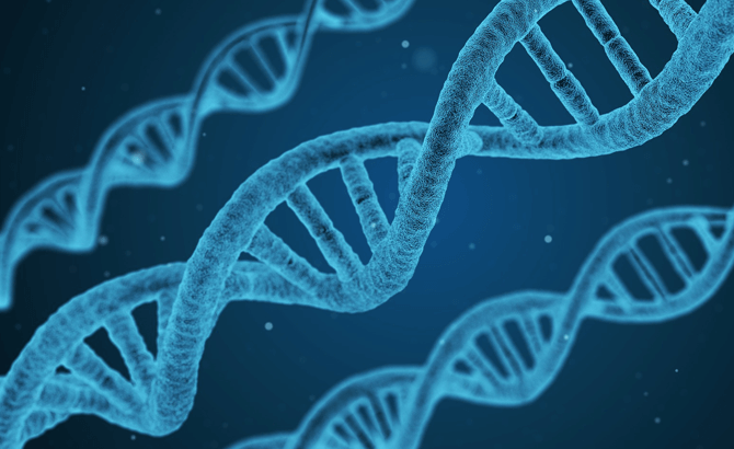 Dairy Genomic indexes stand the test of time