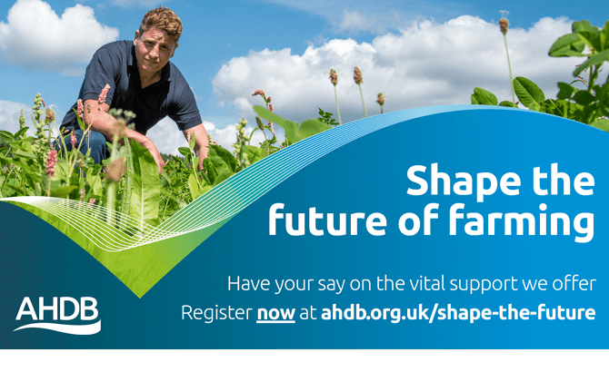 AHDB Shape the Future