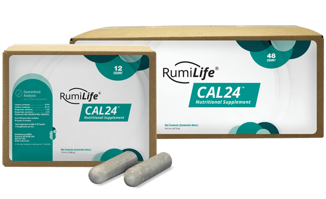 CAL24 - new Calcium bolus