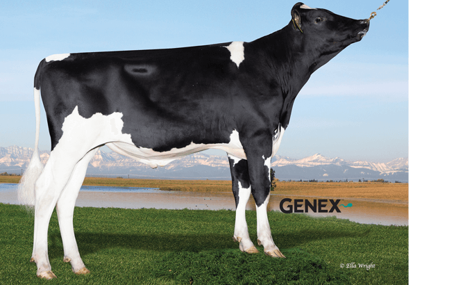 Sexed semen dominates breeding choices