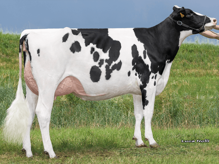 RIVOLTO daughter Cristella Rivolto Velley