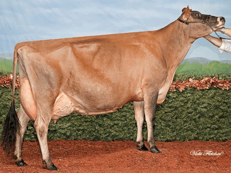 Christoph's dam, Lormiere Fusion Christine EX94, 2011 RWF Champion.